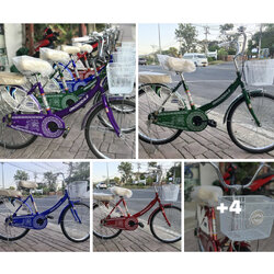 จักรยาน24 นิ้ว