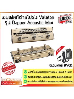 เอฟเฟคกีต้าร์โปร่ง Valeton Dapper Acoustic Mini เอฟเฟคกีต้าร์โปร่ง ราคาถูก ฟังก์ชั่นการใช้งานครบ