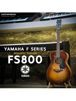 FS800 กีตาร์โปร่ง 40 นิ้ว ทรง Concert ไม้ท็อปโซลิดสปรูซ/ไม้นาโต้