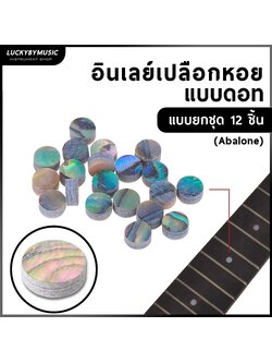 อินเลย์กีตาร์ Inlay Dot ขนาด 6.0 mm. อินเลย์เปลือกหอย ฟิงเกอร์บอร์ด อุปกรณ์เสริมสําหรับกีตาร์ [ชุด12ชิ้น] - ส่งจากไทย