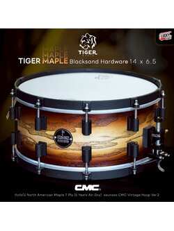 กลองสแนร์ CMC รุ่น Tiger Maple x Ass SB-B 14x6.5