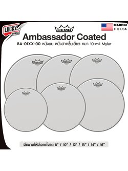 หนังกลอง REMO หนังทอมด้านตี หนังสากชั้นเดียว หนา10Mil รุ่น Ambassador Coated [BA-01XX-00]