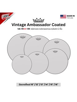 หนังกลอง REMO หนังกลองทอม หนังสาก2ชั้น รุ่นVintage Ambassador Coated [VA-01XX-00]