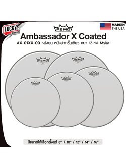 หนังกลอง REMO รุ่น Ambassador X Coated หนังส่ากชั้นเดียวหนา 12 mil Mylar (AX-0XXX-00)