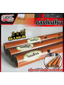 [พร้อมส่ง] ขลุ่ยโหมโรง คีย์สากล คีย์ C ขลุ่ย เหมาะสำหรับใช้เรียน/เป่าเพลงทั่วไป ขลุ่ยเรียน