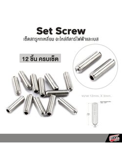 เซ็ตสกรู 6 เหลี่ยม หย่อง แซดเดิ้ล อะไหล่กีตาร์ไฟฟ้าและเบส (1 แพ็ค 12 ตัว)