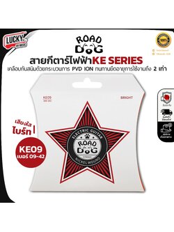 ROAD DOG สายกีต้าร์ไฟฟ้าเคลือบกันสนิม เบอร์ 9 Electric Guitar String PVD Ion Coating เสียงสว่างสดใส
