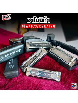 ฮาร์โมนิก้า ขาจับเมาท์ออแกน Golden Cup Harmonica จำนวน 10 ช่อง เลือกคีย์ได้ เลือกเซตได้