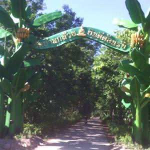 หลวงพ่อทอง(วัดบ้านกล้วย)