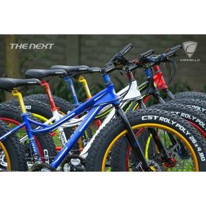 จักรยานล้อโต,fatbike