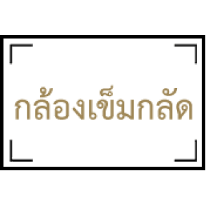 กล้องเข็มกลัด