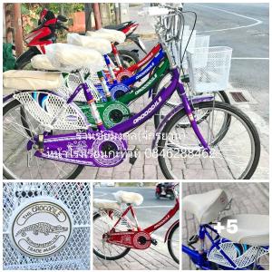 จักรยานแม่บ้าน, Family bike