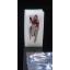 Preorder (THEWIND) Caletuwlch Red Dragon แบบ 1 ชุด