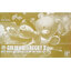 (Bandai) HGBF1/144 Golden Beargguy III