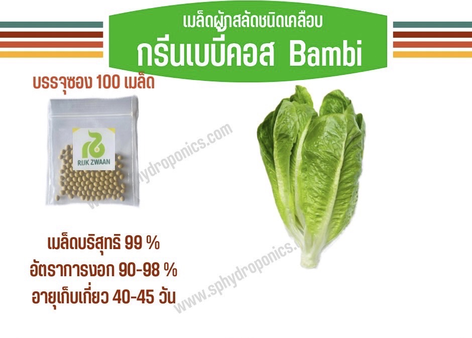 เบบี้คอส เคลือบ 100 เมล็ด(Rijk Zwaan)