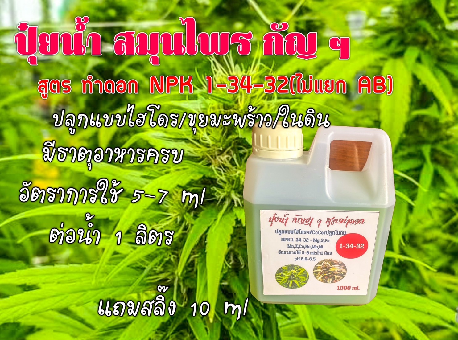 ปุ๋ยน้ำ กัญชา ฯ สูตร ทำดอก 1-34-32 ชุดคู่ 1 ลิตร แถมไซริงค์ 10 cc