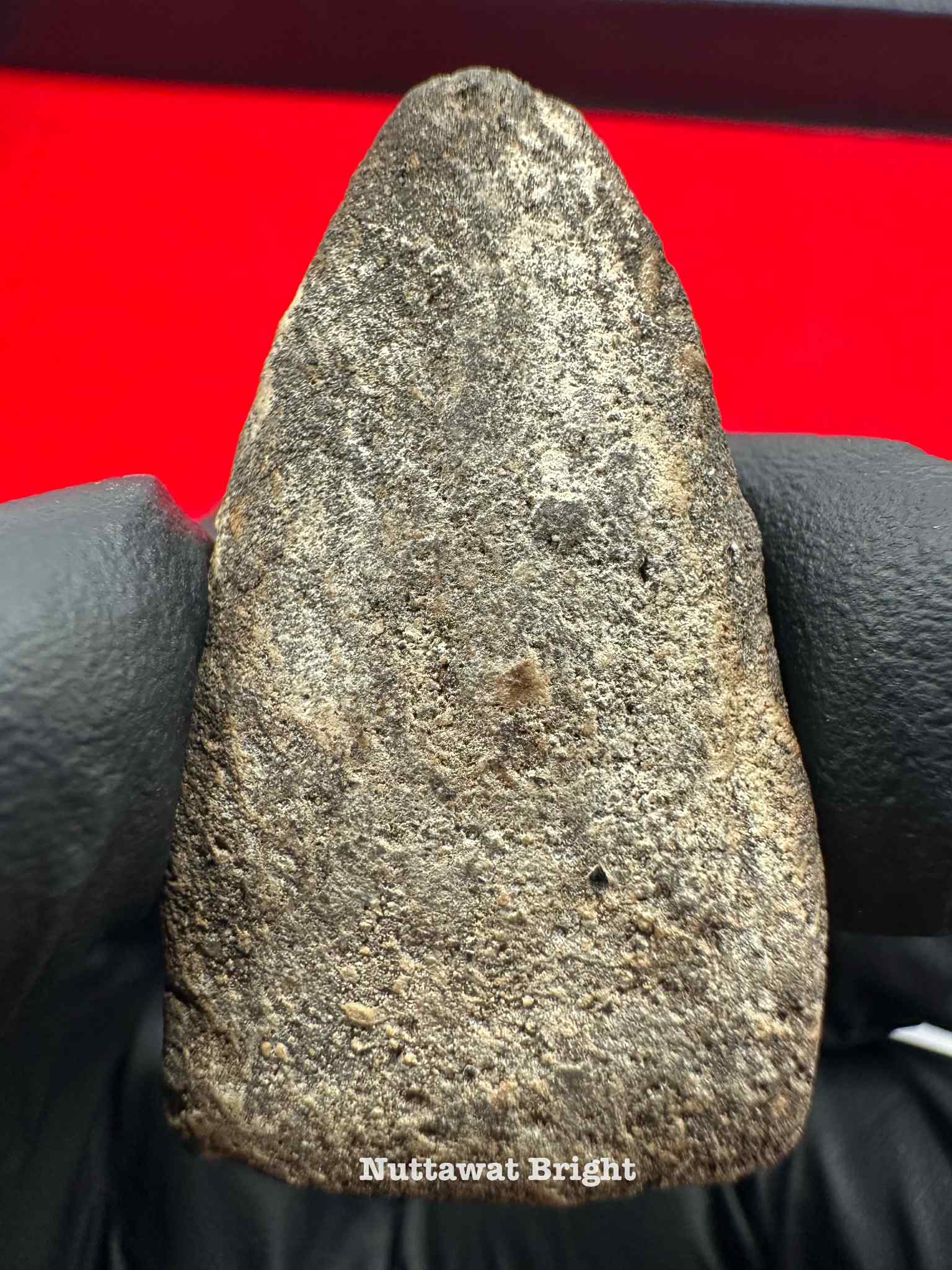 หลวงปู่ทวด เนื้อว่าน พิมพ์ใหญ่ ปี2497