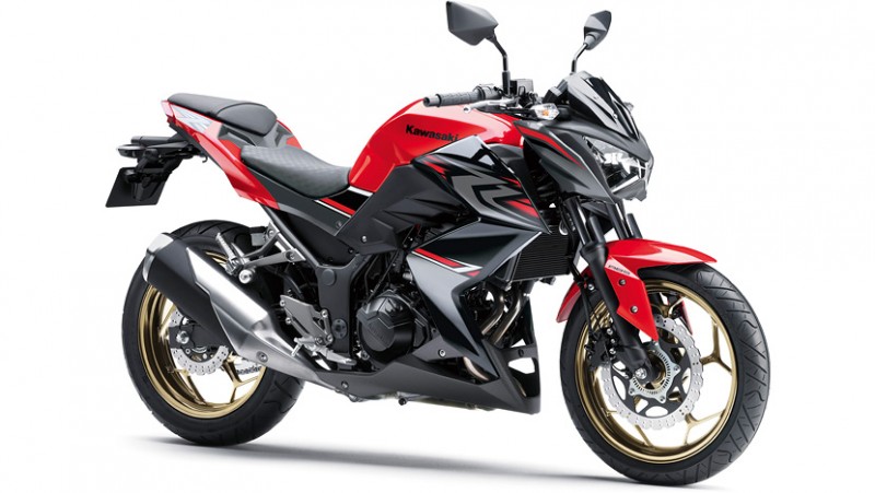 สีสเปรย์พ่นมอเตอร์ไซต์ S.P.A KW-Red Z300