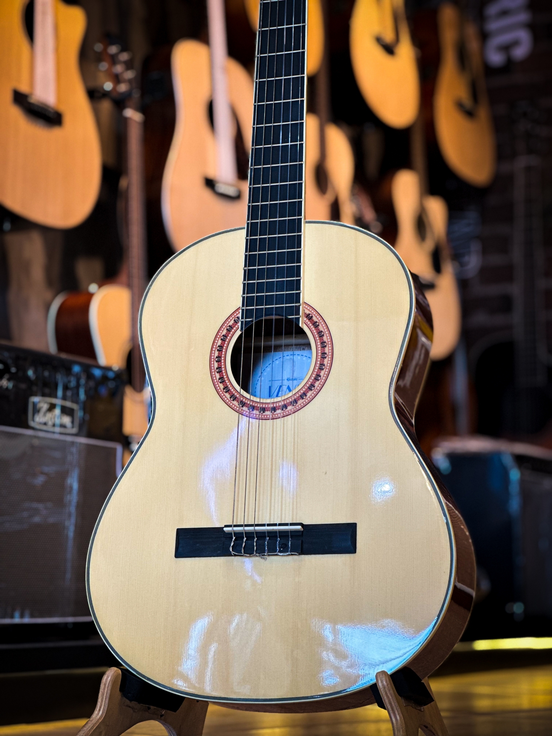 กีต้าร์คลาสสิค Vitesse ขนาด 39 นิ้ว งานไม้เคลือบเงา คลาสสิค ลูกบิดทอง รับประกันสินค้า