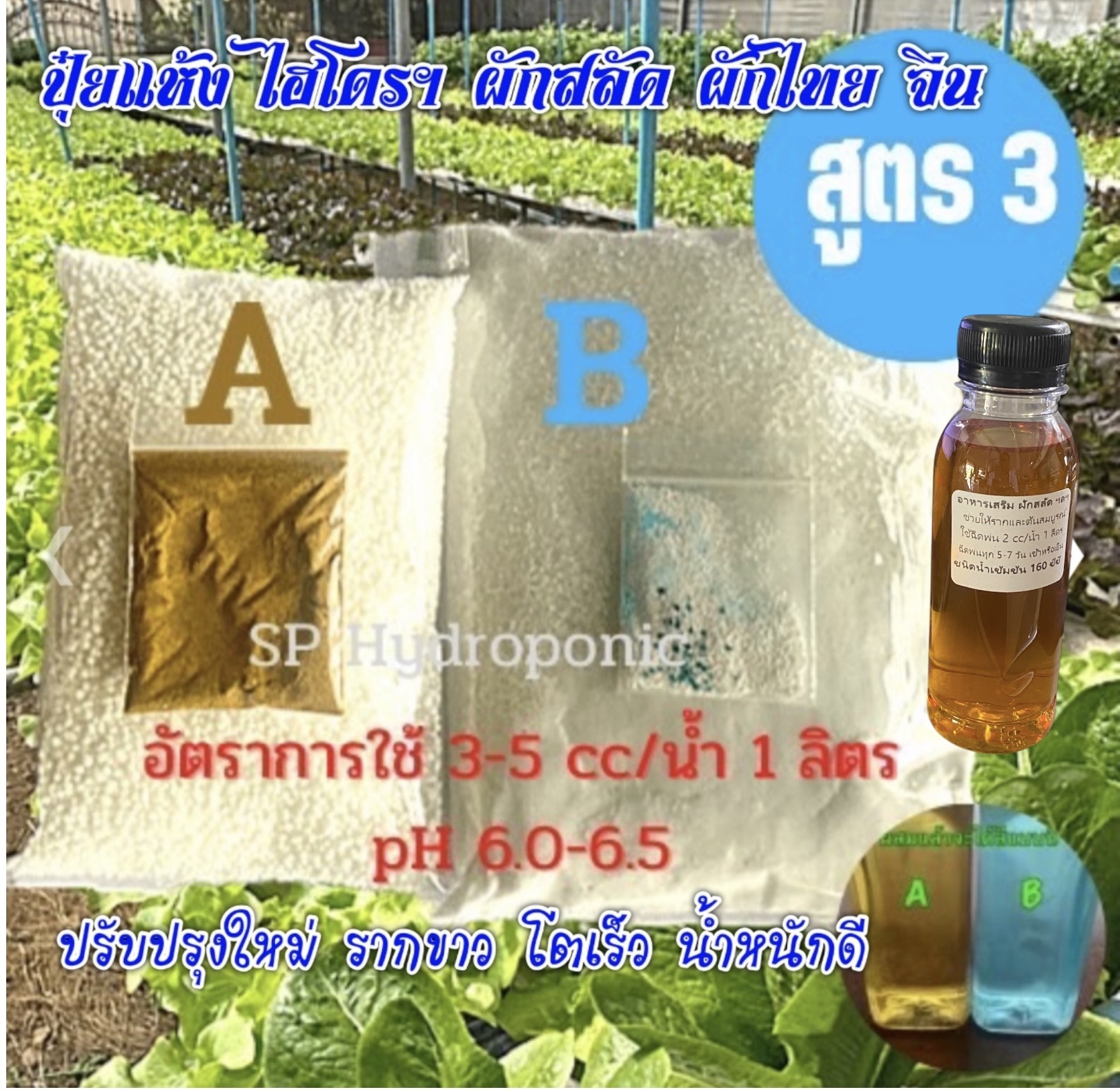 ปุ๋ยแห้ง AB ผักสลัดฯ สูตร 3 ชุดคู่ 5 ลิตร+อาหารเสริม 160 :ซีซี 1 ขวด