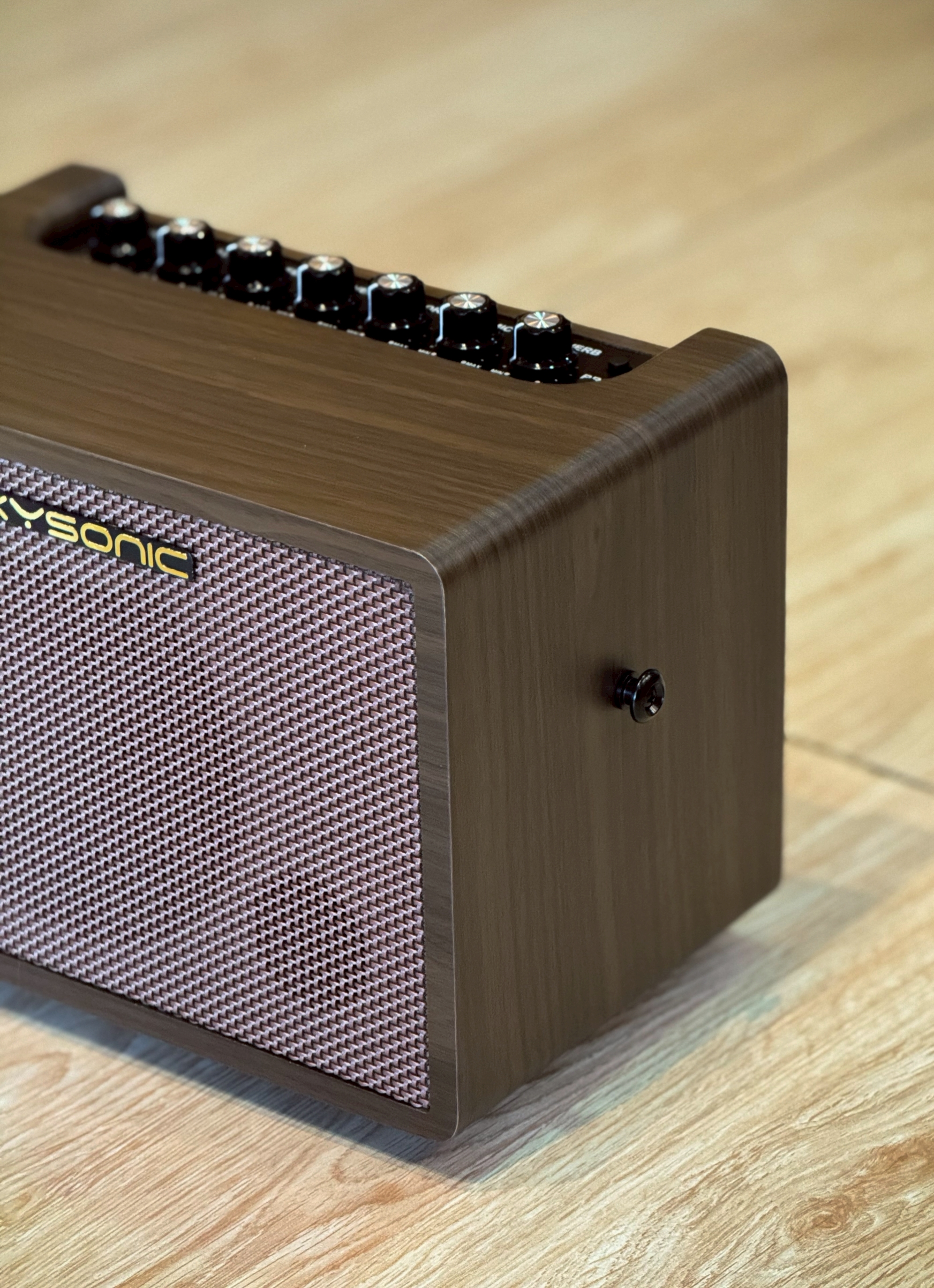 แอมป์กีตาร์โปร่ง Skysonic SC-25 PRO MINI | Bluetooth เชื่อมต่อง่าย 25 วัตต์ พร้อมหูจับพกพาสะดวก 2 อินพุต ชาร์จ Type-C รับประกันสินค้า