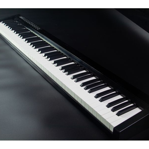 เปียโนไฟฟ้า 88 คีย์ Pastel PL-88C มาพร้อมฟังก์ชั่น Bluetooth มีเสียงให้ 129 โทน [🎯พร้อมของแถมสุดคุ้ม]