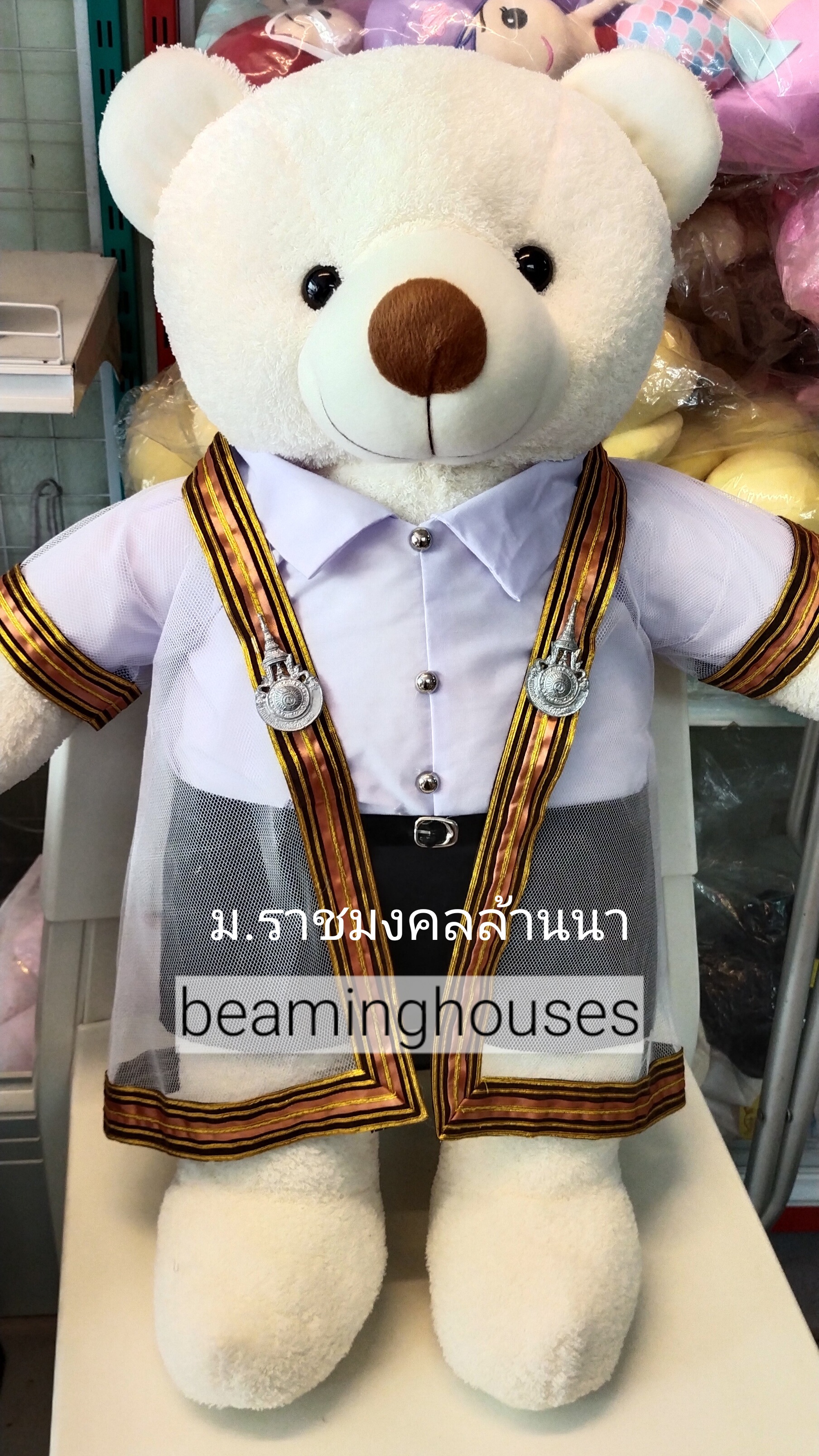หมีรับปริญญาม.ราชมงคลล้านนา สูง 65cm