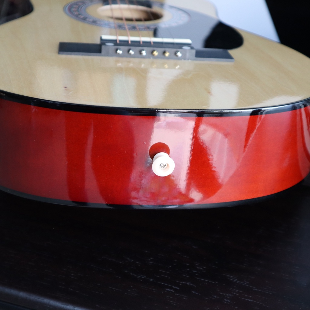 TAKANE กีต้าร์โปร่ง TN-30 สีไม้