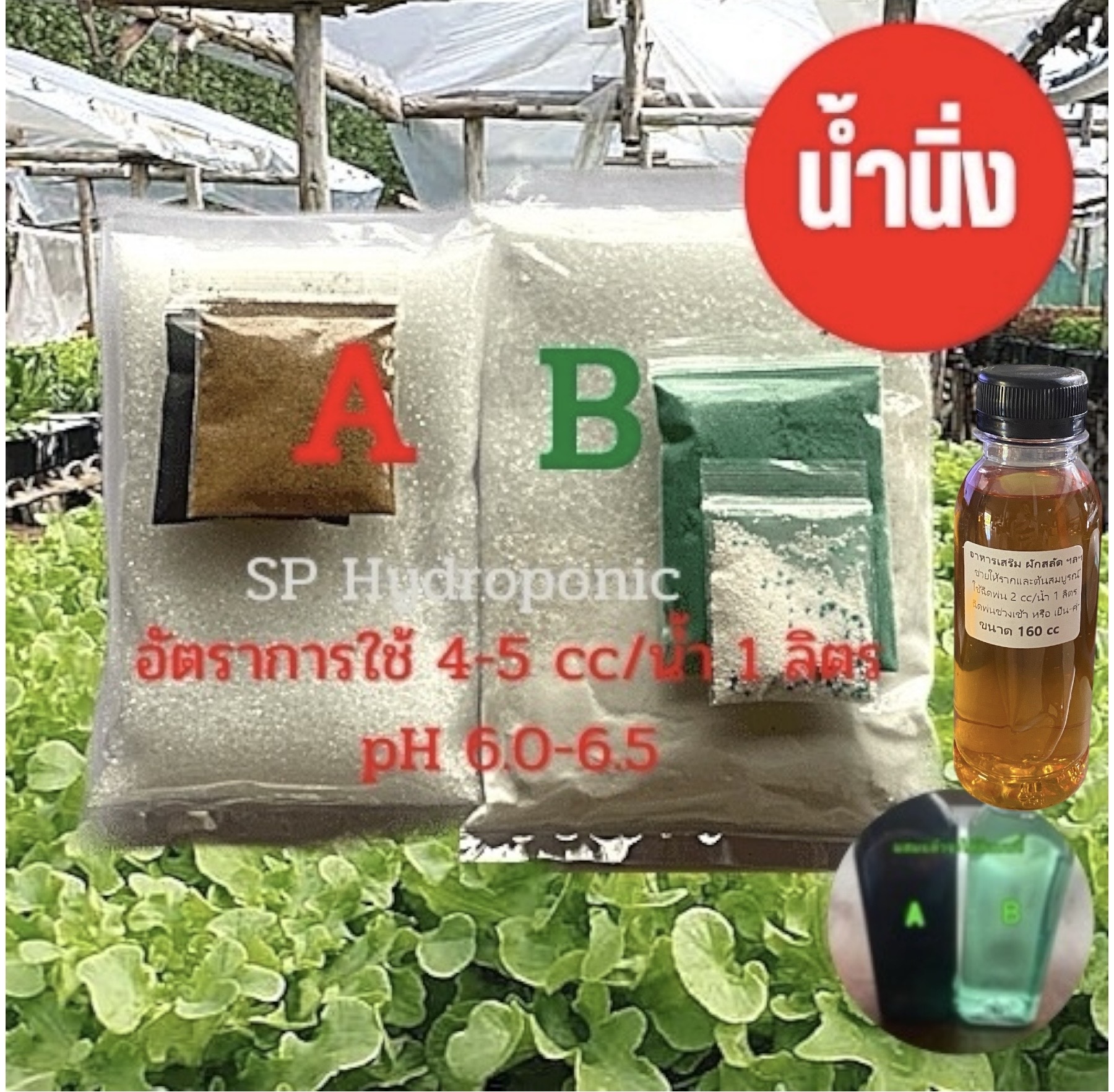 ปุ๋ย AB น้ำนิ่ง ผักสลัด/ผักไทย ฯ ชุดคู่ 10 ลิตร+อาหารเสริม 160 ซีซี 2 ขวด