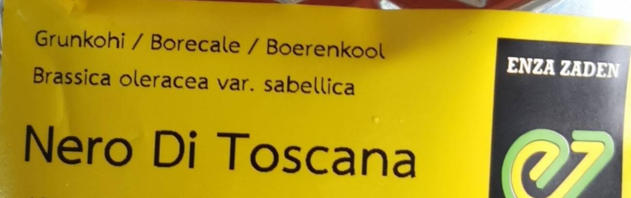 เมล็ด Kale เขียว Nero Di Tascana 100 เมล็ด