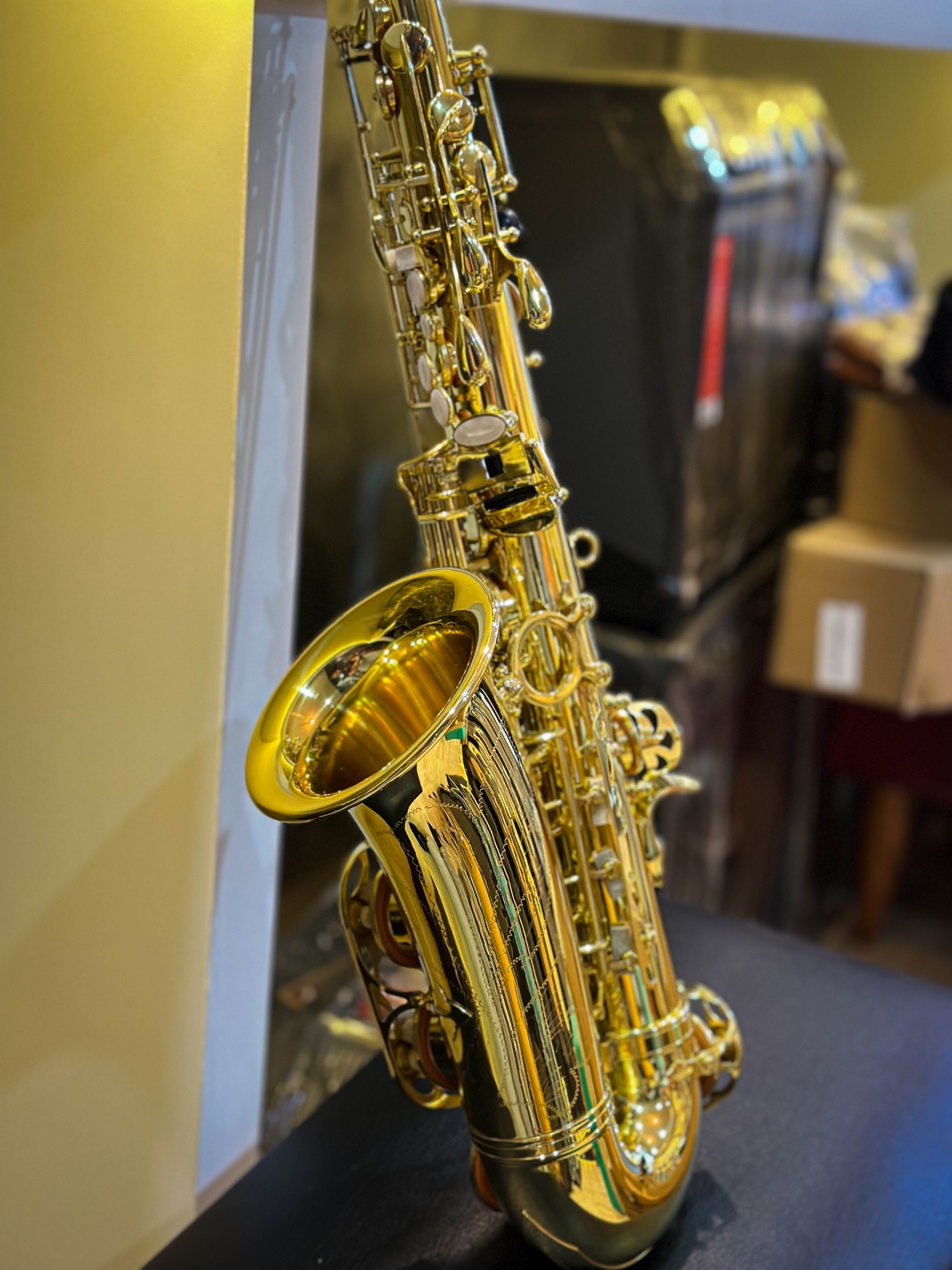 Pietro แซกโซโฟน Eb อัลโต Saxophone Alto (Eb) สีทอง แซ็กโซโฟน พร้อมกล่องบุกำมะหยี่ อุปกรณ์ครบชุด