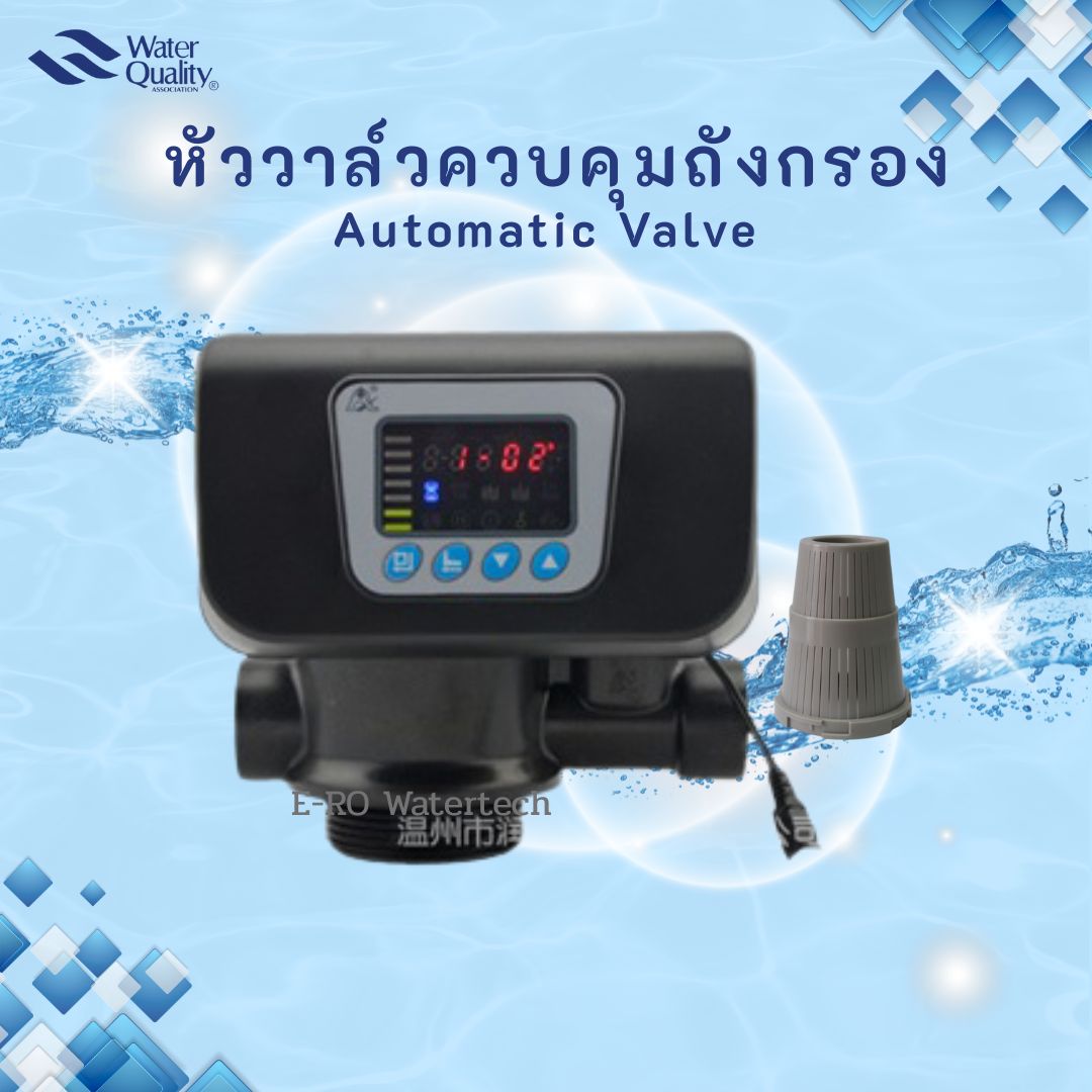 หัววาล์วควบคุมแบบ Automatic คาร์บอน คอ 2.5" - F67C1