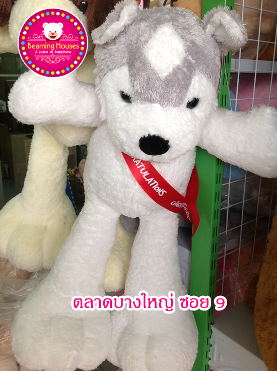 ตุ๊กตาหมาไซบีเรียขาโต สูง 27 นิ้ว