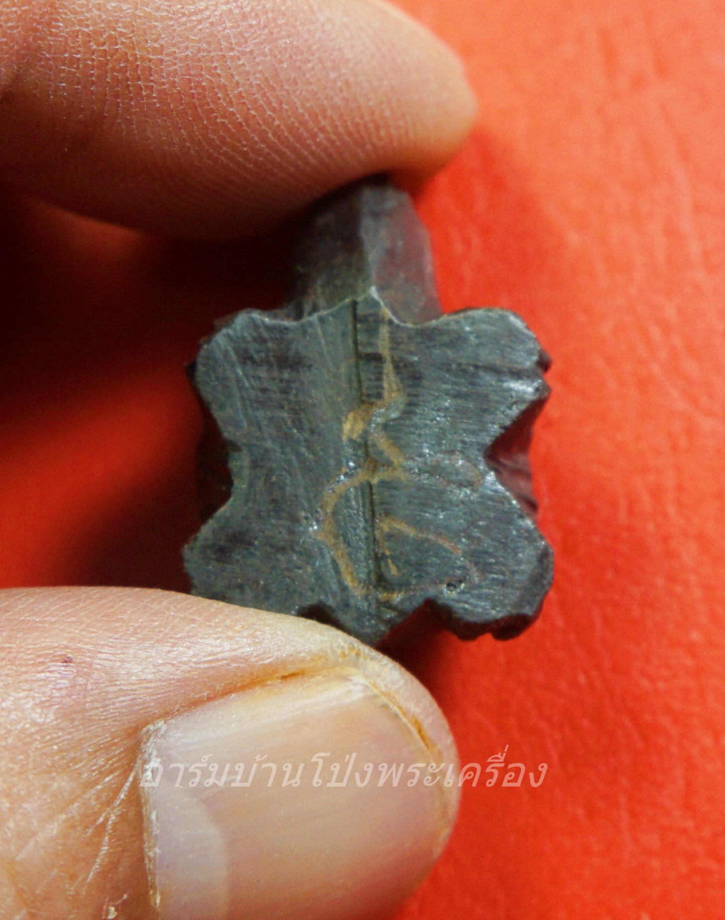 หลวงพ่ออุทัย วัดเกาะตาพุด เต่าแกะ จากโครตเหล็กไหลเขาอึมครึม(องค์ที่5)