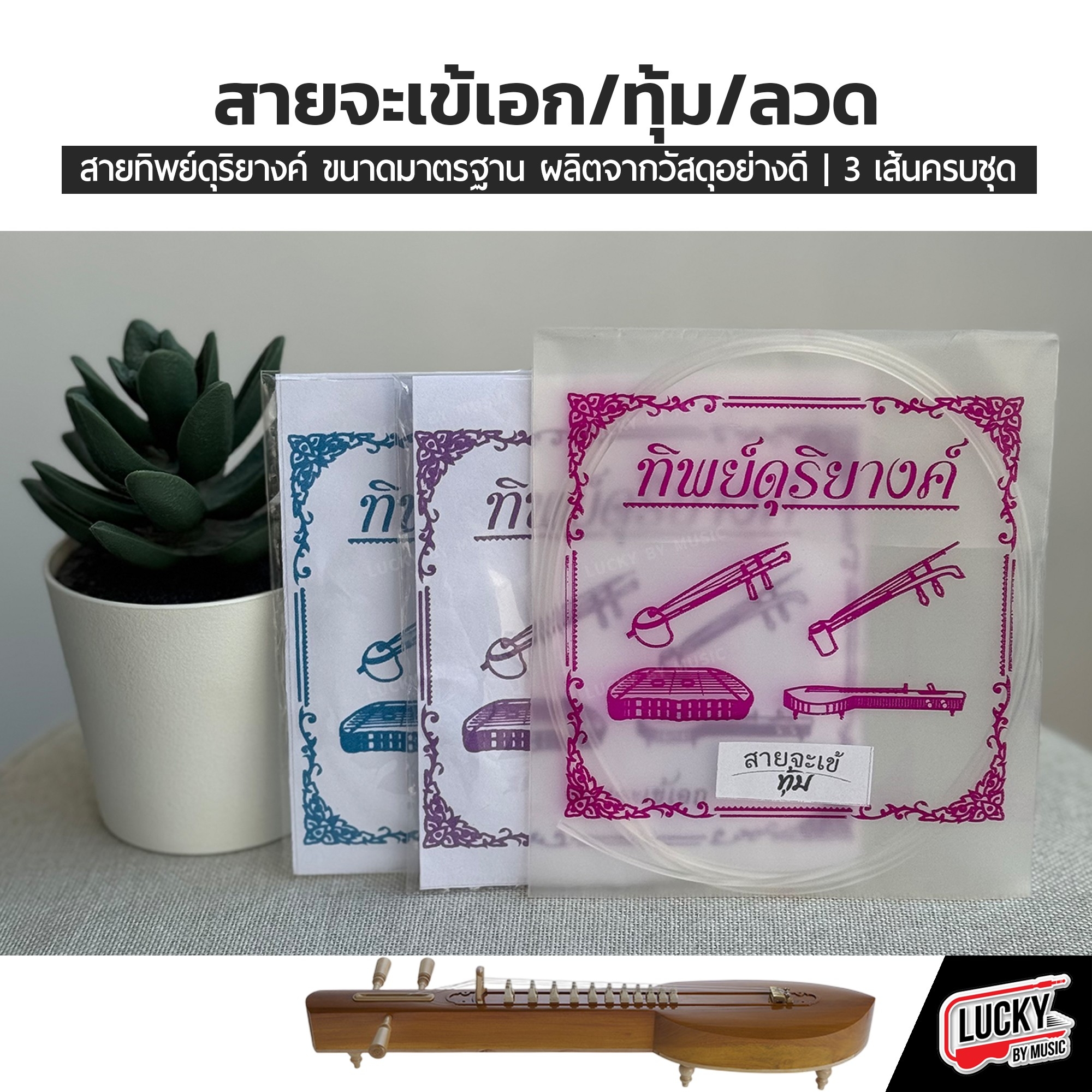 สายจะเข้ เอก ทุ้ม ลวด สายคุณภาพ ขนาดมาตรฐาน เสียงใส เลือกซื้อ แยก หรือ ครบชุด ได้