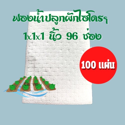 ฟองน้ำเพาะเมล็ด เนื้อละเอียด ไม่มีขอบ จำนวน 100 แผ่น(ส่งฟรี)