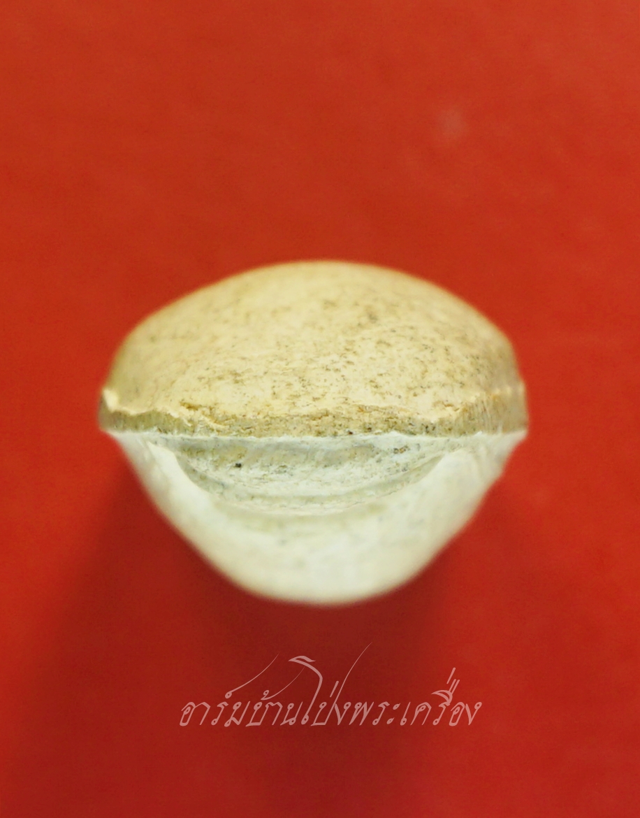 หลวงพ่อคูณ วัดบ้านไร่ นิ้วโป้งจำลอง ลงอักขระยันต์ ปี๒๕๓๖ เนื้อผง(องค์ที่7)