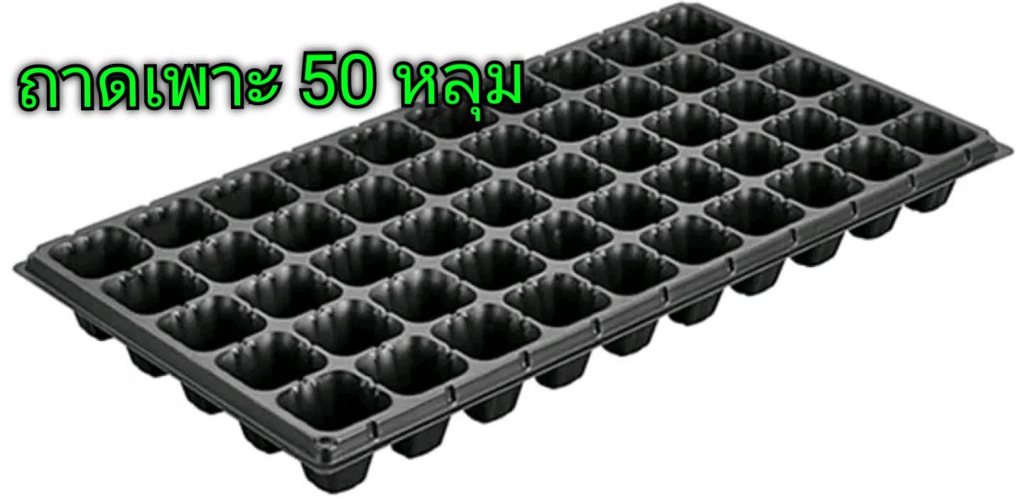 ถาดเพาะ 50 หลุม 1 แผง