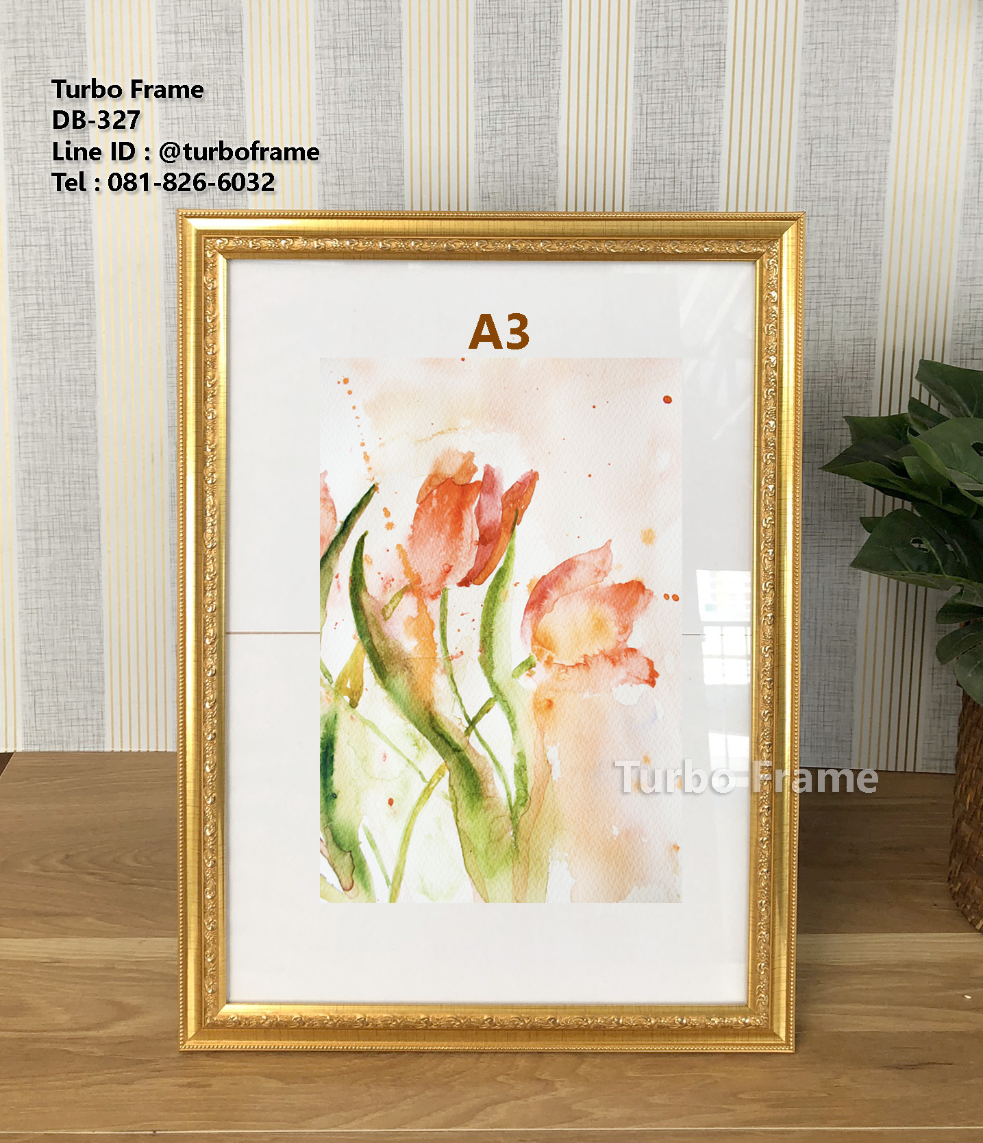 กรอบรูปใส่ใบประกาศ กรอบขนาดA3 DB327