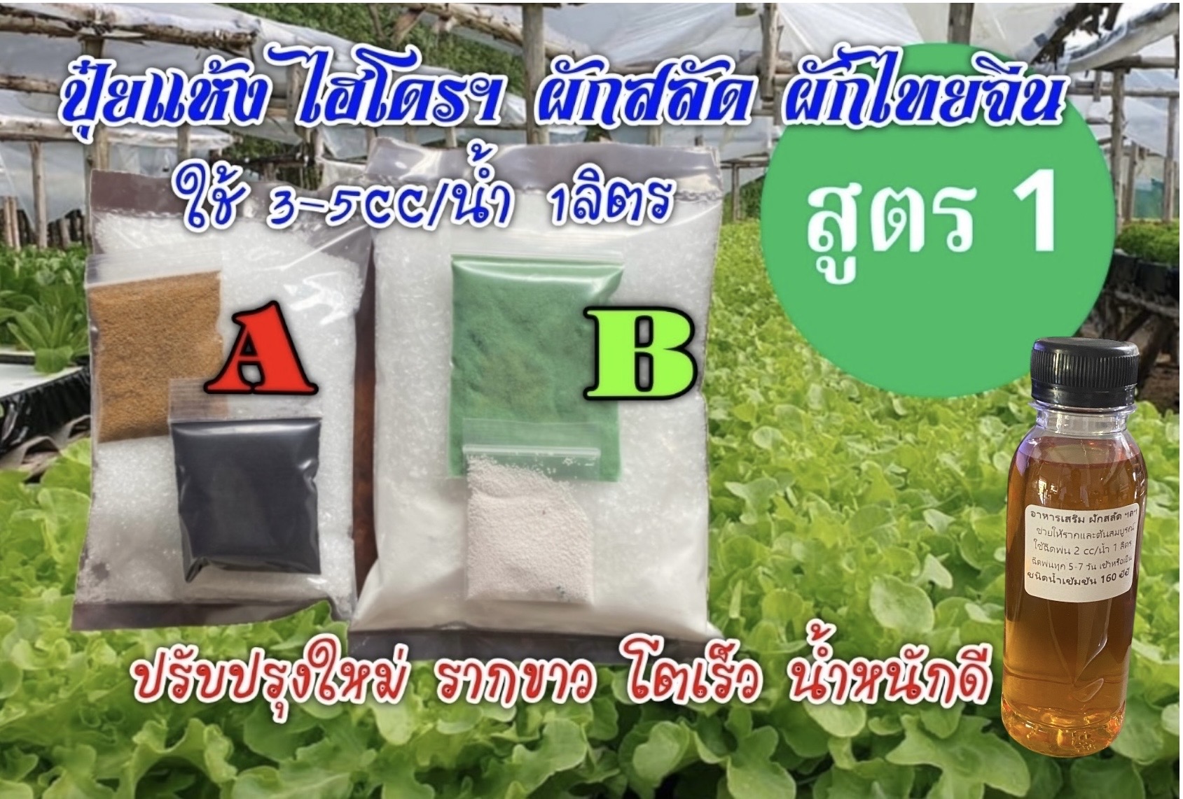 ปุ๋ยแห้ง AB ผักสลัดฯ สูตร 1 ชุด 10 ลิตร+อาหารเสริม 160 ซีซี 2 ขวด