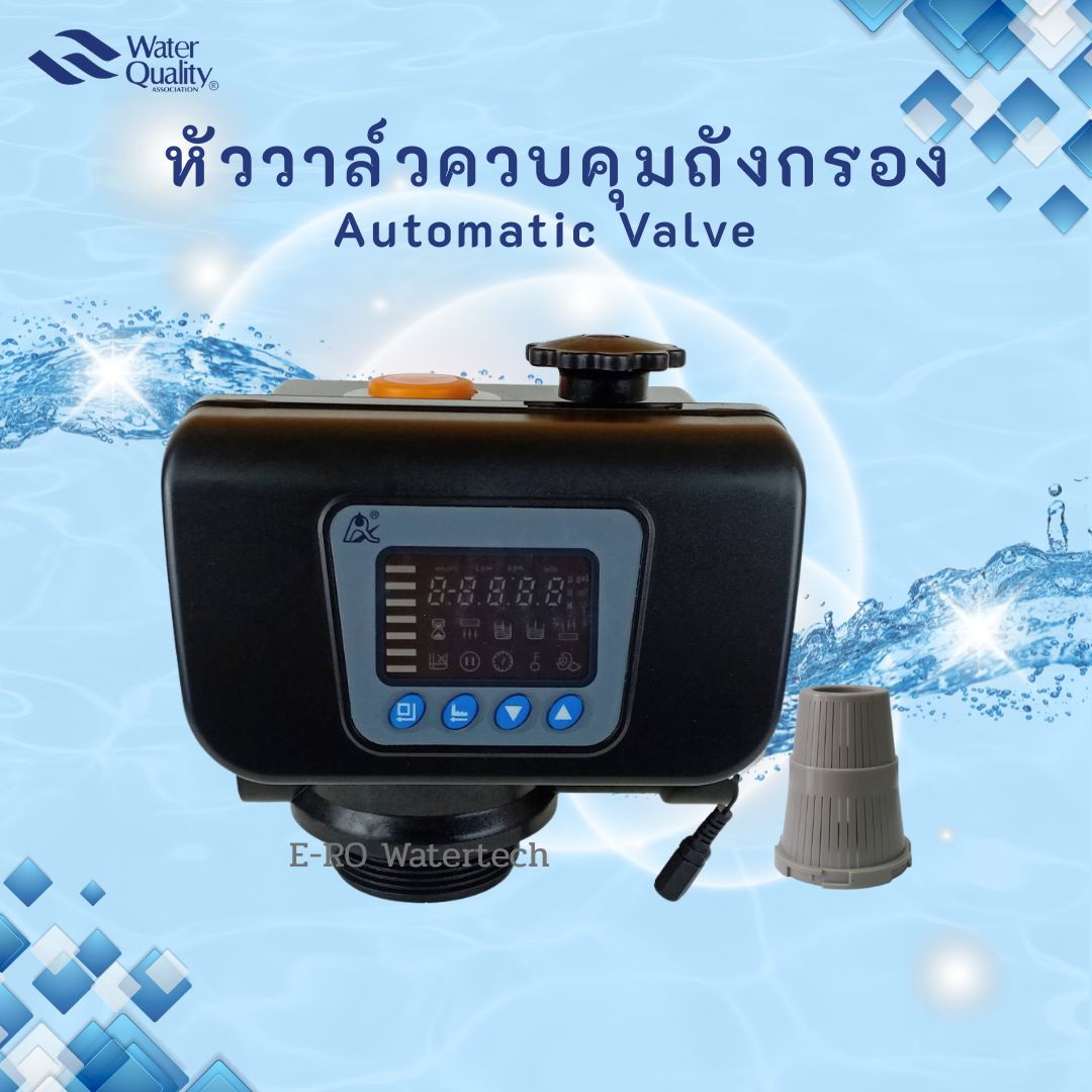 หัววาล์วควบคุมแบบ Automatic เรซิ่น คอ 2.5" - F63B3