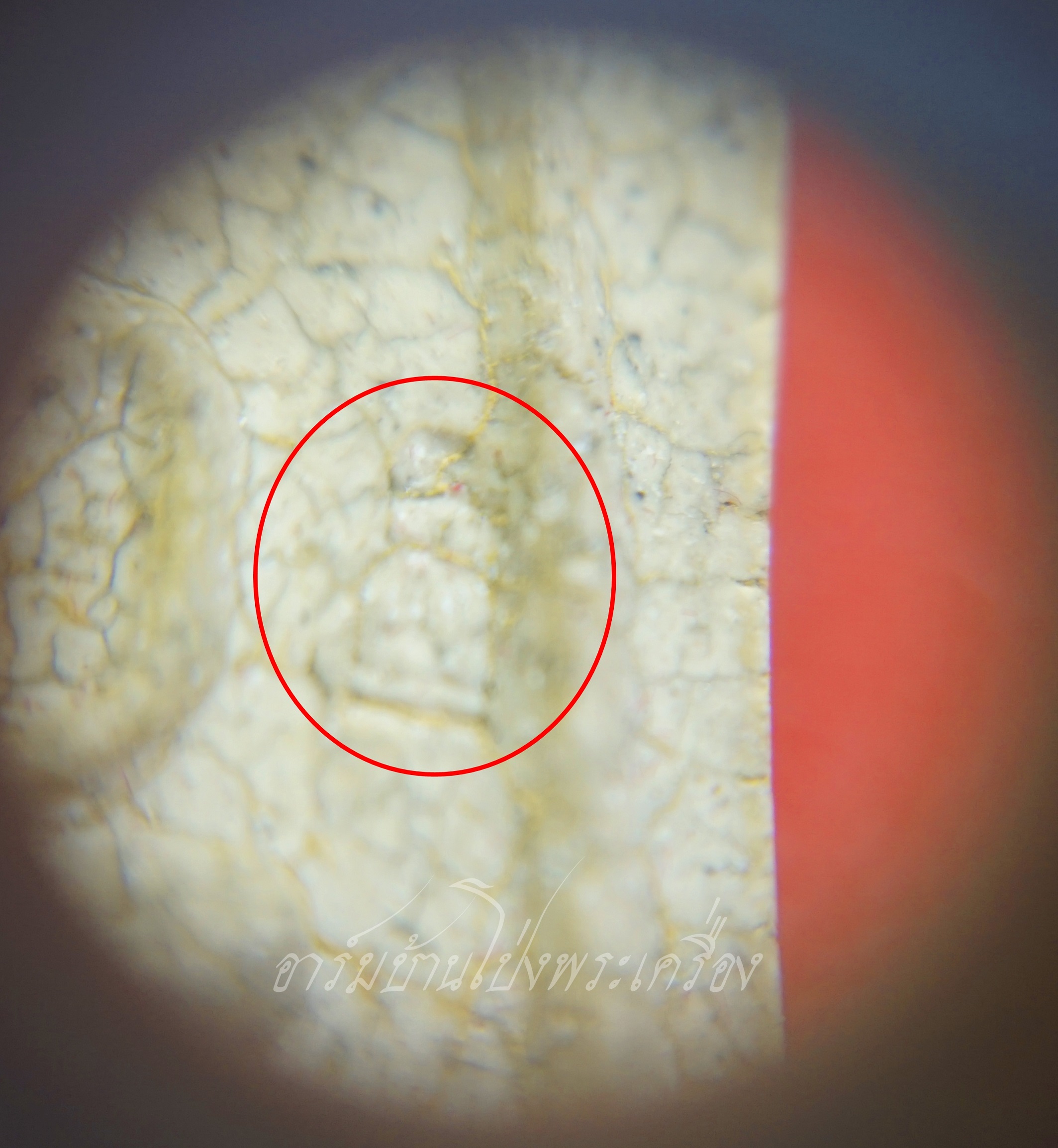 พระสมเด็จ วัดระฆังโฆษิตาราม รุ่น มี-เฮง-รวย ปี๒๕๕๒ ด้านหน้าปั๊มโค๊ตระฆัง ด้านหลังปั๊มตราวัด(องค์ที่1)