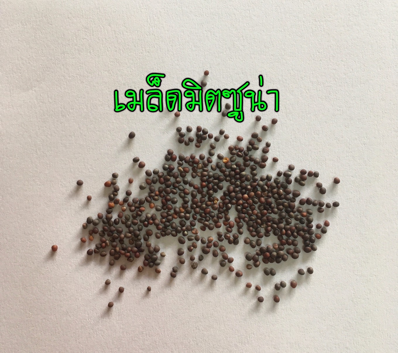 เมล็ดมิซูน่า 5500-6000 เมล็ด นน. 10 กรัม