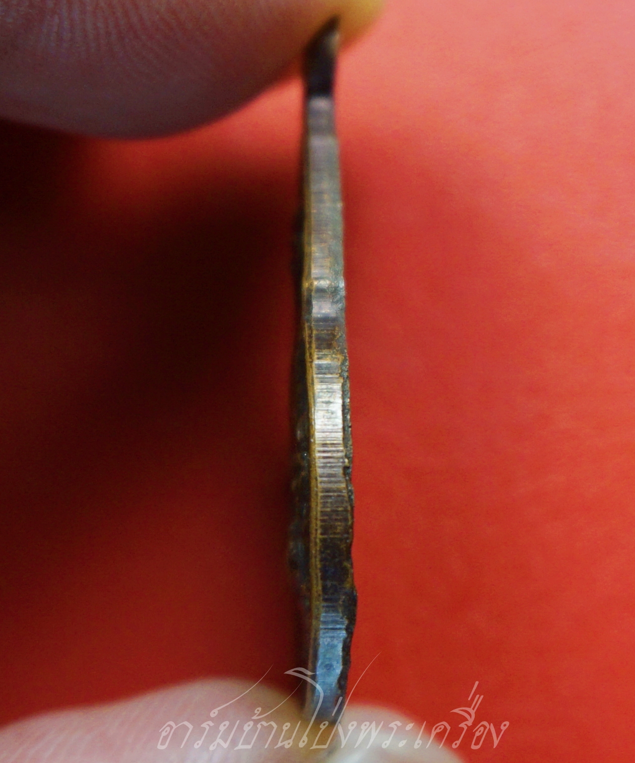 หลวงปู่ชอบ วัดเขารังเสือ รุ่นฉลองอายุ๗รอบ จับหัวเสือ เนื้อทองแดง(องค์ที่3)