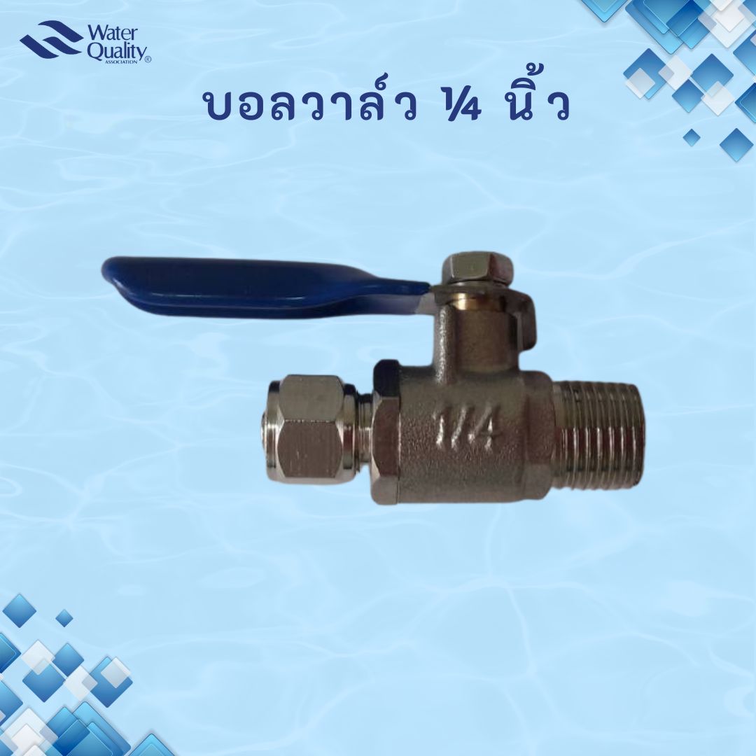 Brass Ball Valve 1/4"