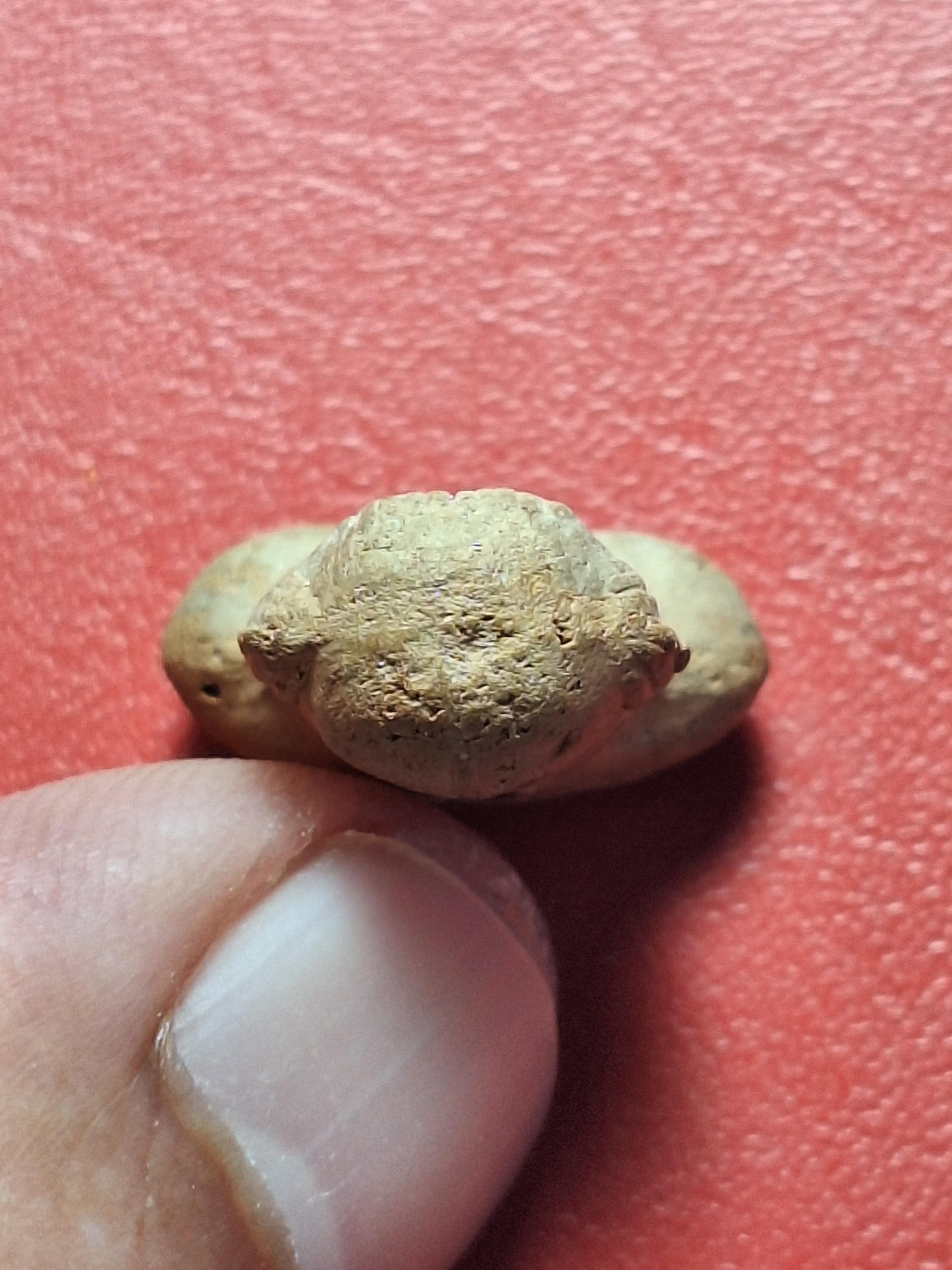 หลวงพ่อแดง วัดบ้านยาง ปิดตา รุ่นแรก เนื้อผง(องค์ที่1)