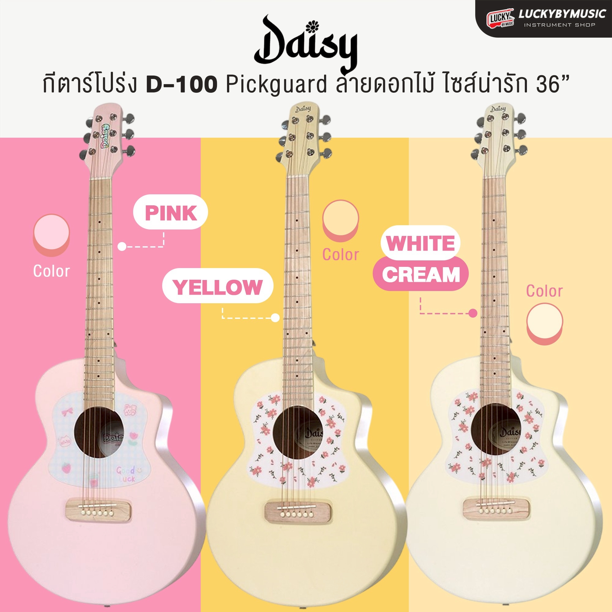 Daisy กีตาร์โปร่ง รุ่น D-100 ขนาด 36 นิ้ว ปิ๊กการ์ดลายดอกไม้ พร้อม ปิ๊ก4อัน คู่มือ