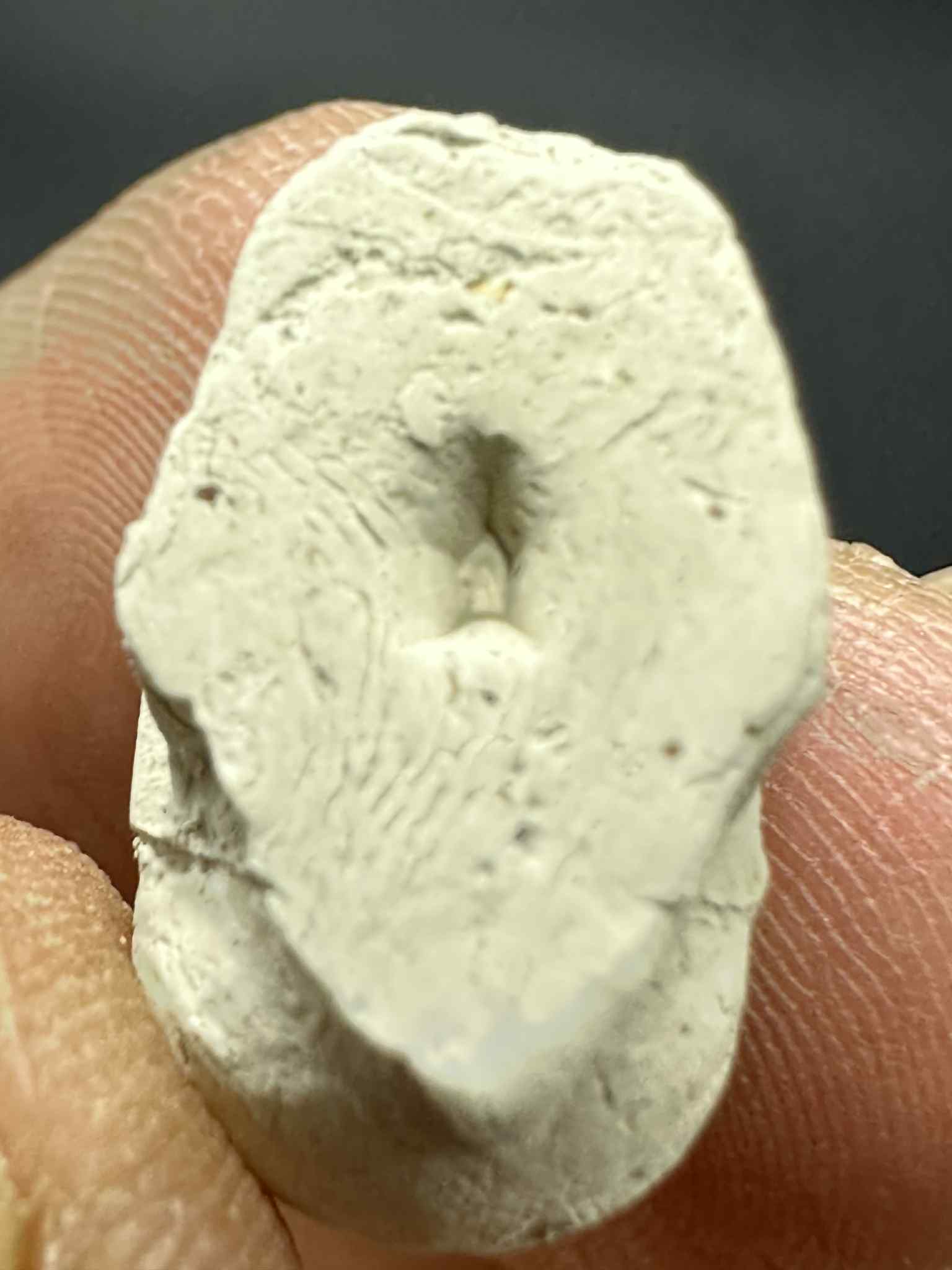 39.หัวกะโหลกผงผี "พรายโคตรเฮง" อ.อู๊ด สำนักพยัคฆ์ หน้าทอง สงขลา พ.ศ.2567