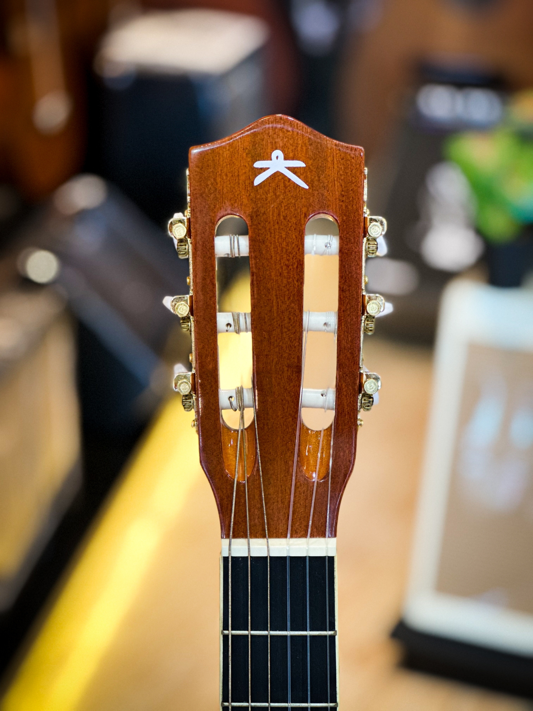 กีต้าร์คลาสสิค Vitesse ขนาด 39 นิ้ว งานไม้เคลือบเงา คลาสสิค ลูกบิดทอง รับประกันสินค้า