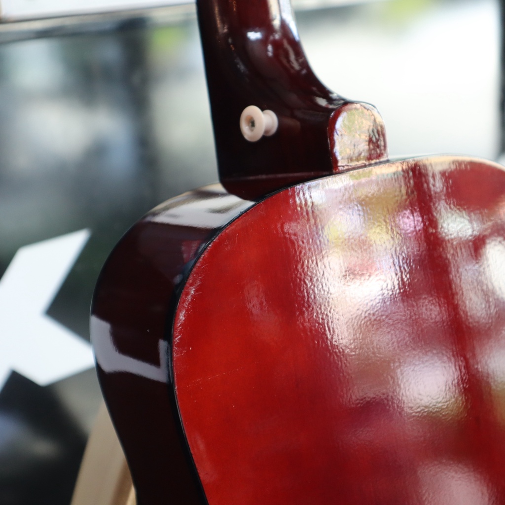 TAKANE กีต้าร์โปร่ง TN-30 สีไม้